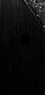 Dark wallpaper with black spider and web design.