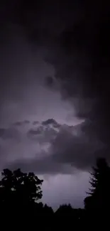 Dark stormy night with clouds and trees, creating an eerie and captivating scene.