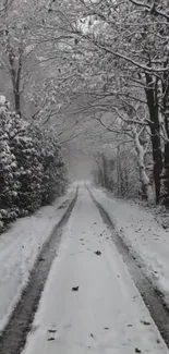 Daytime Snow Plant Live Wallpaper