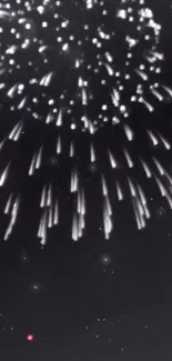 Stunning fireworks show with dark night sky backdrop.