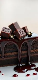 A slice of chocolate cake with rich chocolate drizzle.