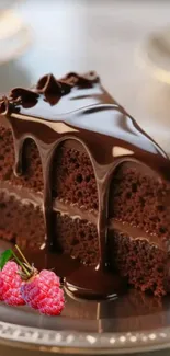 Rich slice of chocolate cake with glaze and raspberries.