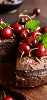 A luscious chocolate cake topped with fresh cherries and mint leaves.