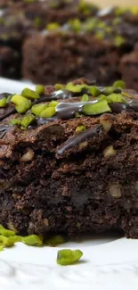 Chocolate brownie with pistachio topping on a white plate.