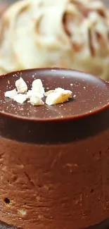 Artistic arrangement of chocolate dessert layers.