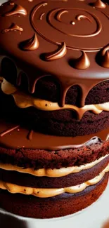 Decadent chocolate cake with rich layers and frosting details.