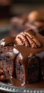Close-up of a decadent chocolate cake with pecans.
