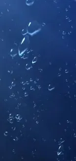 Deep blue abstract wallpaper with floating water bubbles.