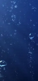 Bubbles rising against a deep blue background.