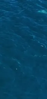 Mobile wallpaper of deep blue ocean waves.