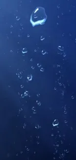 Deep blue wallpaper with water droplets.