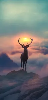 Majestic deer silhouetted against colorful sunset sky in nature wallpaper.