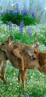 Two deer fawns playfully explore a vibrant flower-filled meadow.