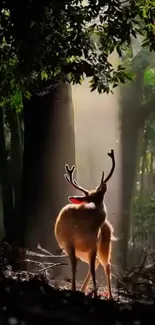 Majestic deer in sunlit forest scenery on mobile wallpaper.