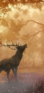 Majestic deer beneath trees in a mystical orange forest.