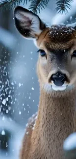 A gentle deer standing calmly in a snowy winter forest.