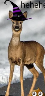 Deer in snowy landscape crossing a road with one wearing a hat.