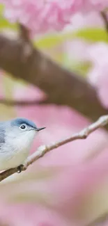 Bird perched on branch with pink blossoms in the background.