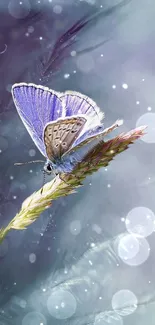 Delicate butterfly perched on grass with a serene, lavender-hued background.