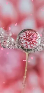 Delicate flower within a droplet on a pink background mobile wallpaper.