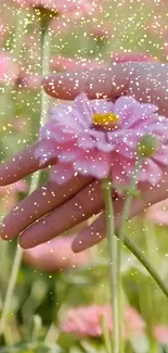 Hand holding a pink flower with sparkles in a field.