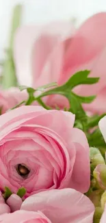 Delicate pink blossoms with lush green leaves.