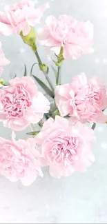 Pink carnations on a pastel background with a soft and elegant feel.