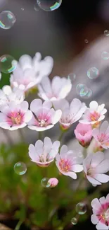 Pink and white flowers with bubbles on a nature-inspired wallpaper.