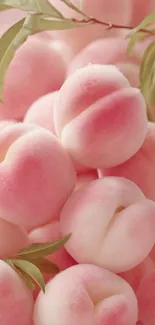 Cluster of soft pink peaches with green leaves.