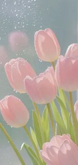 Delicate pink tulips by a softly lit window.