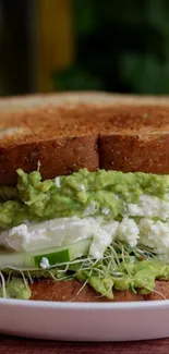 Close-up of an avocado and cheese sandwich.