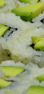 Close-up of avocado sushi rolls featuring rice and fresh avocado.