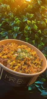 Delicious beef bowl with cheese against green leaves.