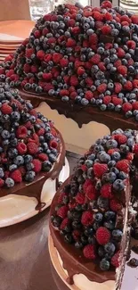 Berry-topped chocolate cake with blueberries and raspberries.