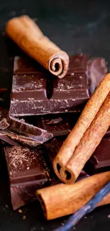 Delicious chocolate bars with cinnamon sticks.