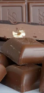 Assorted milk chocolate bars and pralines against a smooth background.