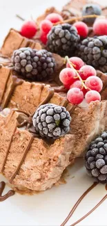 Chocolate dessert with fresh berries on top.