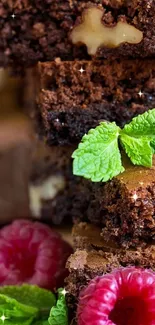 Chocolate brownies with raspberries and mint leaves on top.