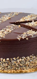 Chocolate cake with nut topping and frosting slice.