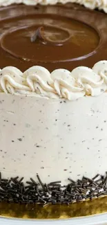 Close-up of a chocolate cake with creamy frosting and decorative toppings.