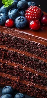 Chocolate cake slice with berries on top.