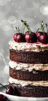 Chocolate cake topped with cherries on a plate.