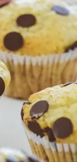 Golden chocolate chip muffins with a delicious sweet texture.