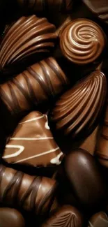Assortment of gourmet chocolates with varied shapes.