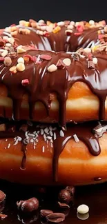 Chocolate-covered donuts with sprinkles and nuts.