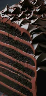 Rich and decadent chocolate cake slice.