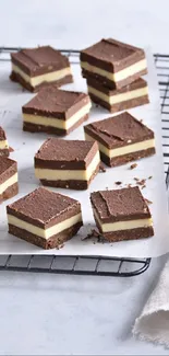 Chocolate layered dessert bars on cooling rack.