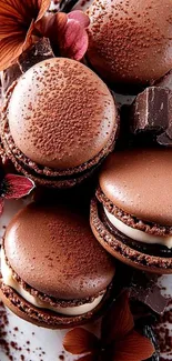 Close-up of chocolate macarons with flowers