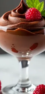 Chocolate mousse in a glass with raspberry and mint.
