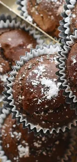 Close-up of chocolate muffins with powdered sugar.